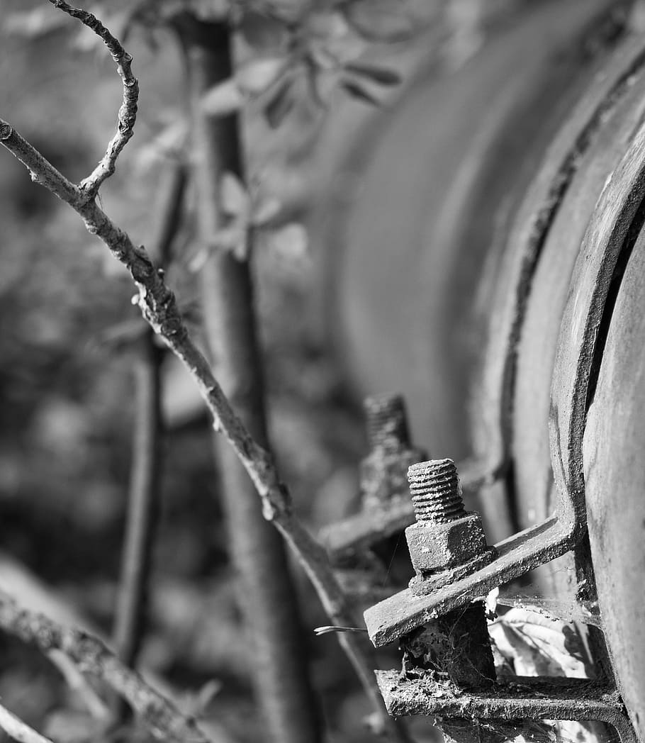 tube, pipe, screw, matrix, forest, branch, black and white, HD wallpaper