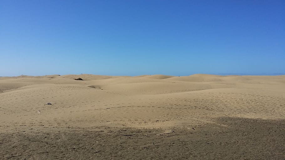 desert, dune, sand, wide, land, environment, landscape, climate HD wallpaper