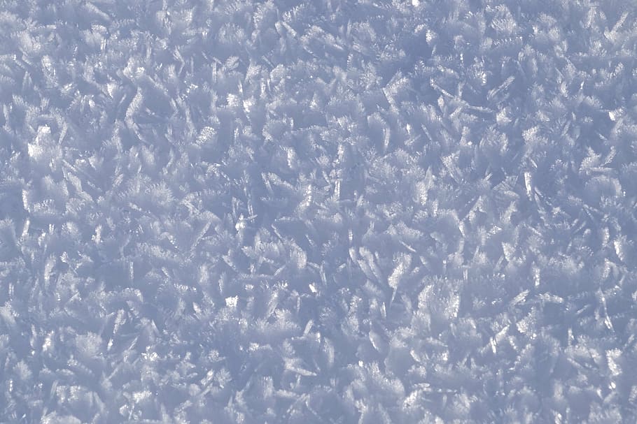gray plants, snow, flake, winter, cold, january 2016, backgrounds HD wallpaper