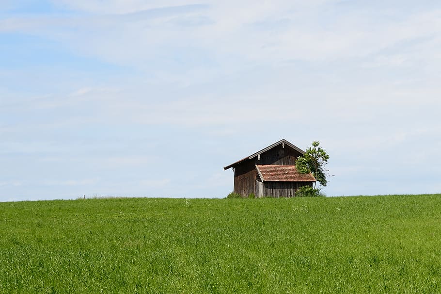 house surrounded by green grass under cloudy sky during daytime HD wallpaper