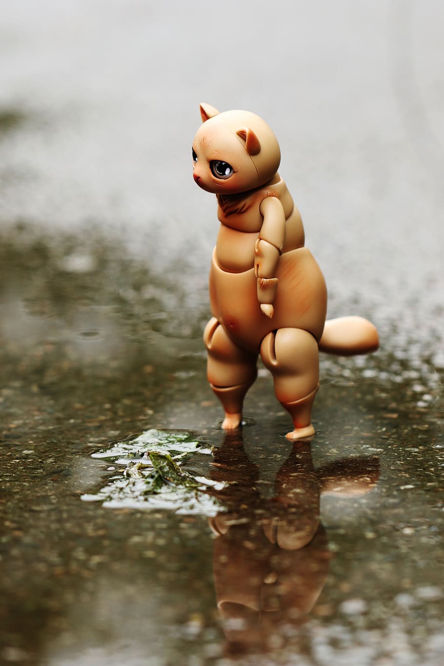 Toy, Water, Reflection, Fun, cute, figurine, small, human representation HD wallpaper