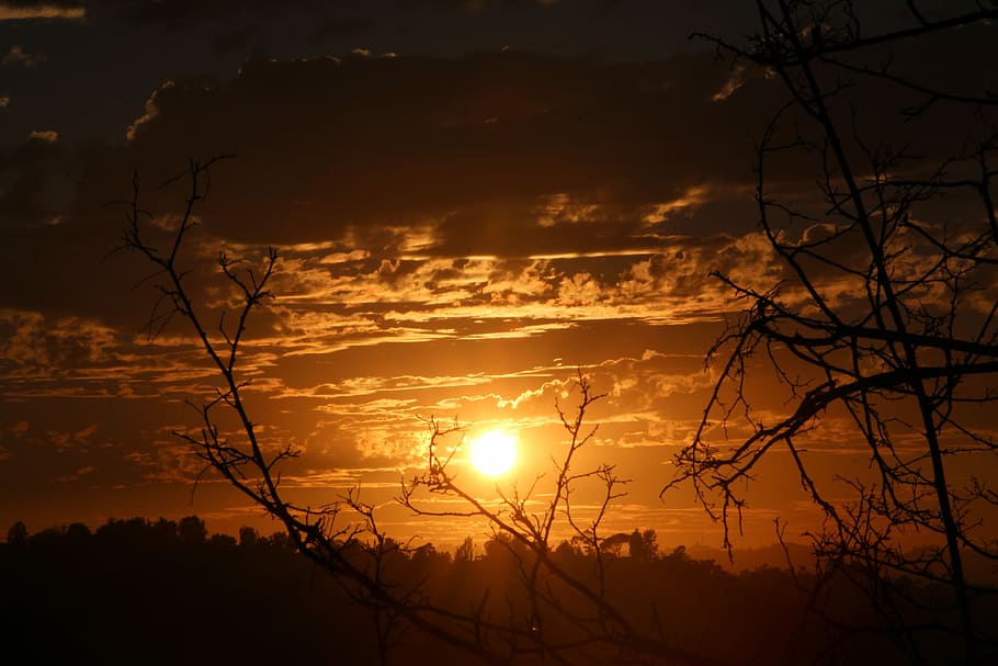 Sunset, Branches, Nature, Orange, horizon, morning, majestic HD wallpaper