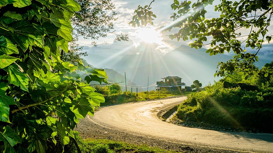 pathway, road, sun flare, sky, light, cloud, bright, journey HD wallpaper