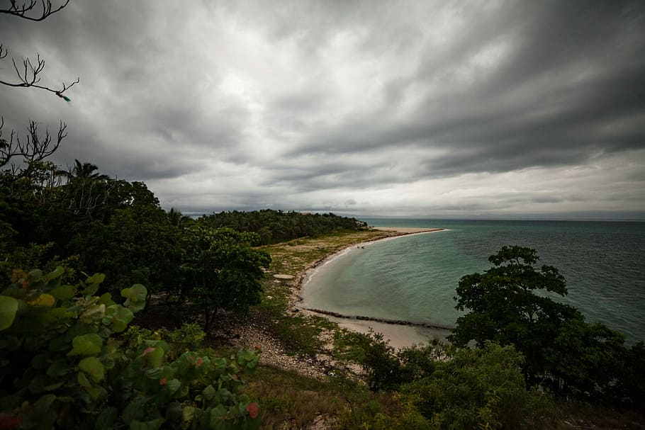 beach near forests under gray clouds during daytime, landscape photography of beach HD wallpaper
