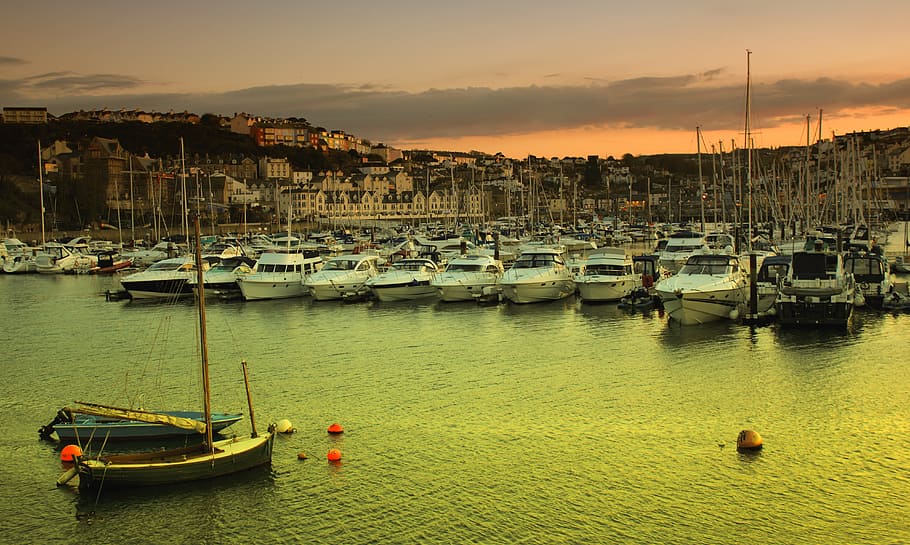 devon, brixham, sea, town, water, harbour, torbay, fishing HD wallpaper