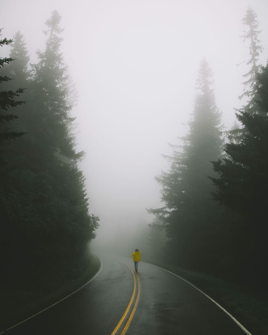 woman wearing yellow jacket standing on road surrounded by pine trees, person waling in middle of street while raining HD wallpaper