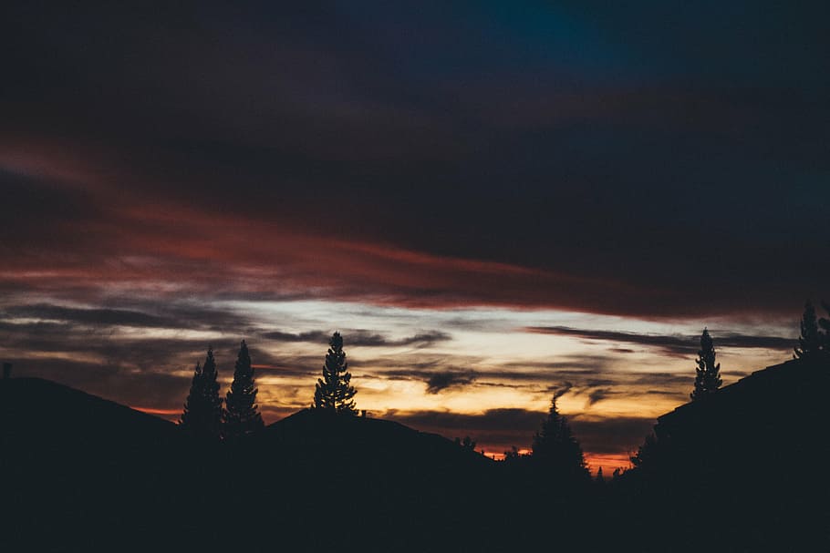 photo of trees and mountain during golden hour, silhouette HD wallpaper