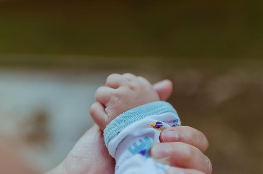 person holding baby's hand in closeup photo, mother, hands, family, HD wallpaper