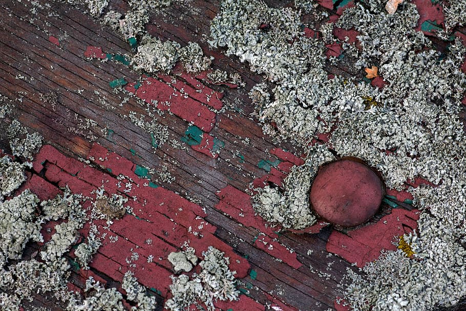 background, wood, old paint, texture, board, weave, backgrounds HD wallpaper