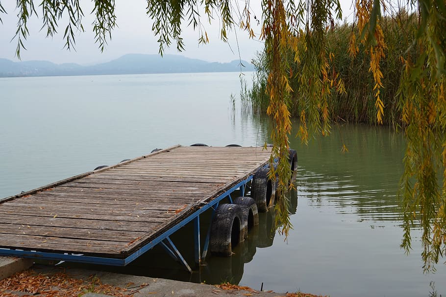 autumn, lakeside, plot, waterfront, nature, autumn mood, tranquility HD wallpaper