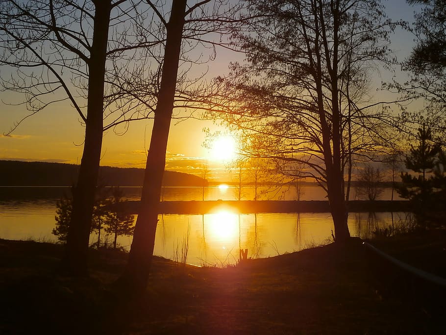 Sunset, Sunrise, Trees, Lake, Calm, nature, outdoor, landscape HD wallpaper