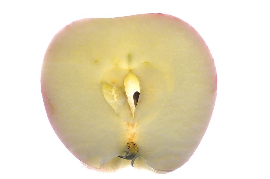 apple, macro, fruit, close, kernobstgewaechs, studio shot, white background HD wallpaper
