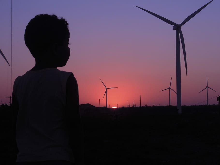 Boy, Wind, Sunset, elices, silhouet, afternoon, wind power HD wallpaper