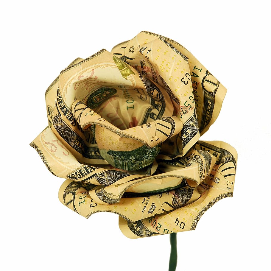 U.S. dollar rose flower, money, cash, gift, currency, finance, HD wallpaper
