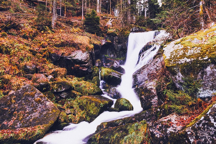 waterfall, stream, forest, nature, flow, flowing water, scenics - nature HD wallpaper