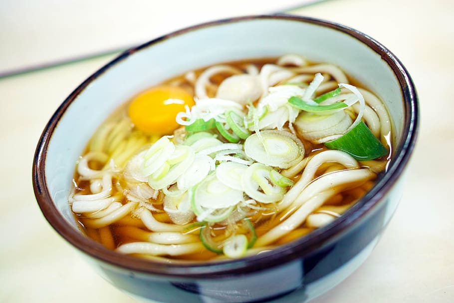 noodles inside white bowl, japanese food, japan food, udon noodles