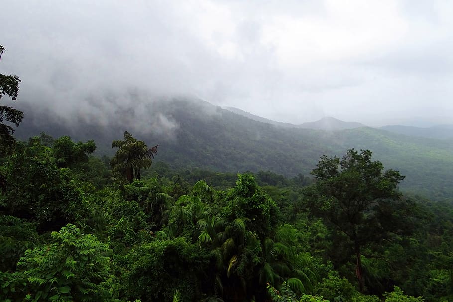 mountains under cloudy sky, rainforest, mollem national park, HD wallpaper