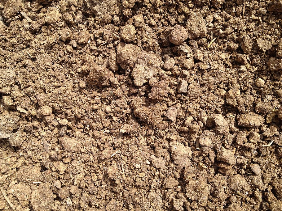 soil, grain, crush, full frame, backgrounds, no people, high angle view HD wallpaper