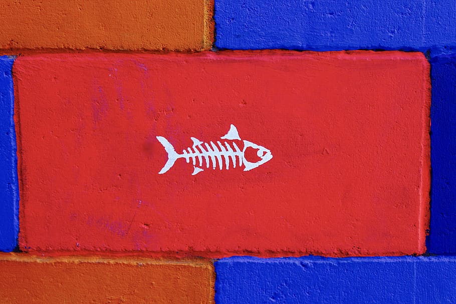 Little Fish, red, brown, and blue with fishbone artwork, painting HD wallpaper