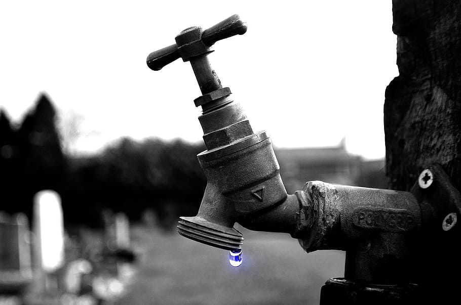 gray water faucet mounted on tree trunk, tap, drop, background