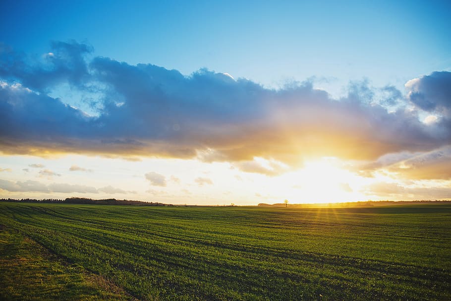 green grass field, sunset, sky, clouds, rural, farm, countryside HD wallpaper