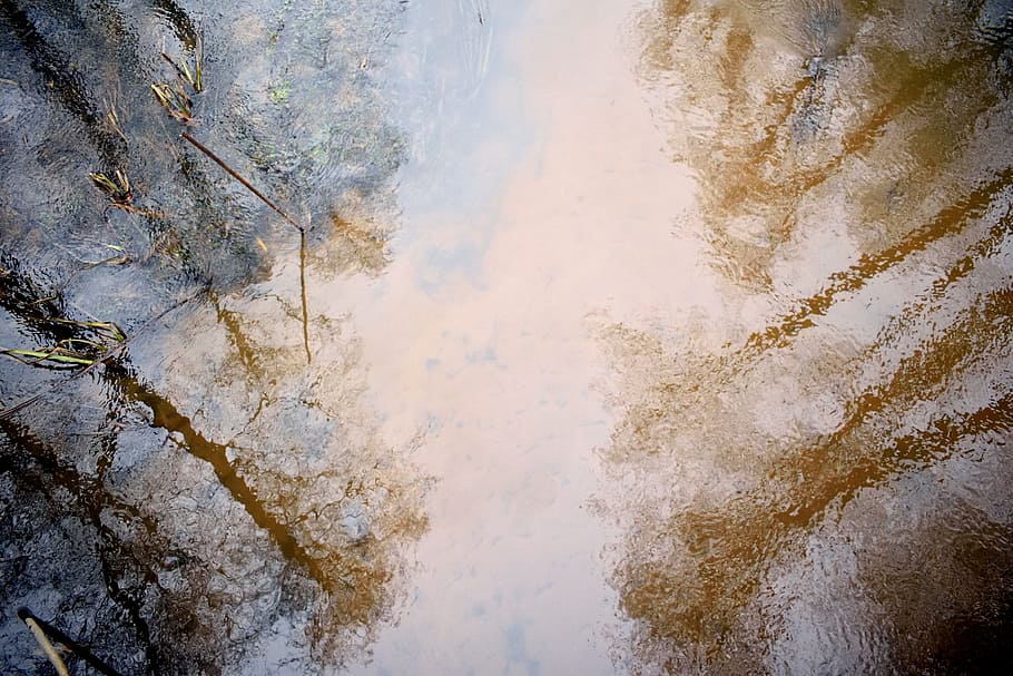 water reflection of trees, forest, river, nature, poland, the brook HD wallpaper