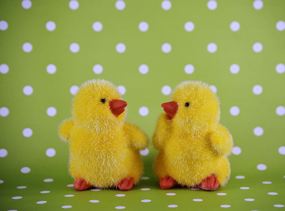 two yellow chicks plush toys, easter, cute, decoration, easter theme HD wallpaper