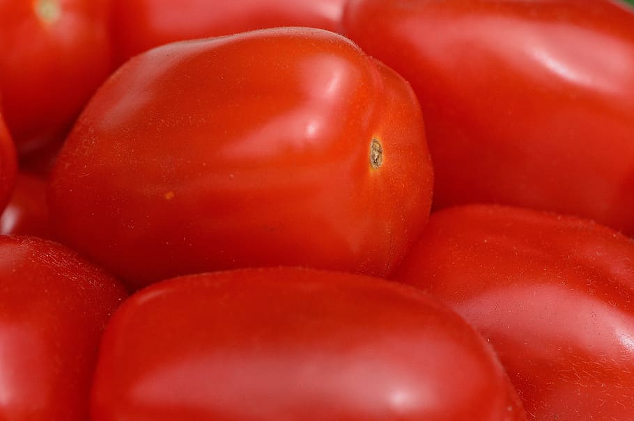 tomatoes, vegetables, macro, red, food, garden, healthy, market HD wallpaper