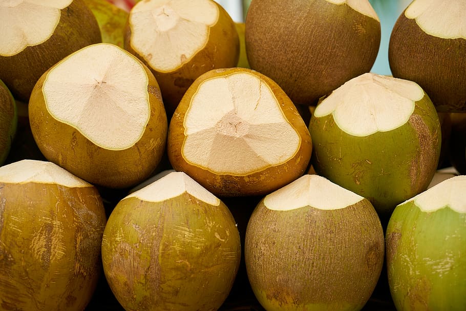 bunch of coconuts, india coconut, fruit, tropical, tropical fruit, HD wallpaper