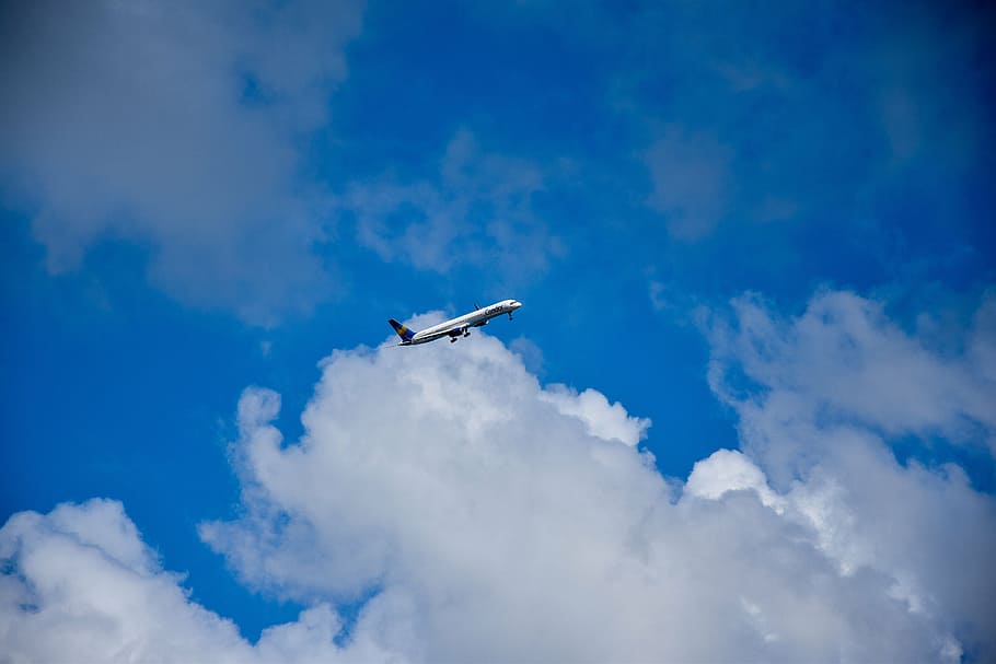 low-angle view of airplane, blue sky, clouds, flying, cloud - sky HD wallpaper