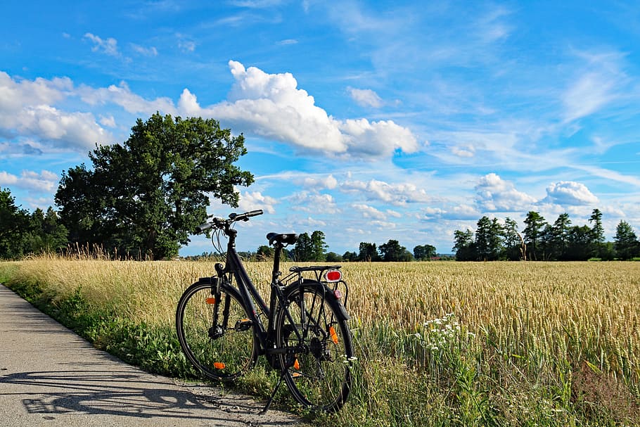 black city bike parked on grass field, Summer, Bike Ride, bike trip, HD wallpaper