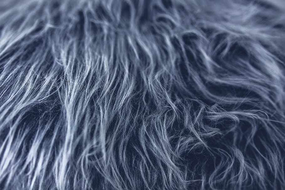 close-up photo of gray animal fur, grey, texture, fabric, designer HD wallpaper