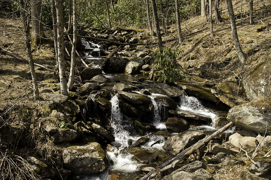 Beautiful Waterfalls in Great Smoky Mountains National Park, Tennessee, HD wallpaper