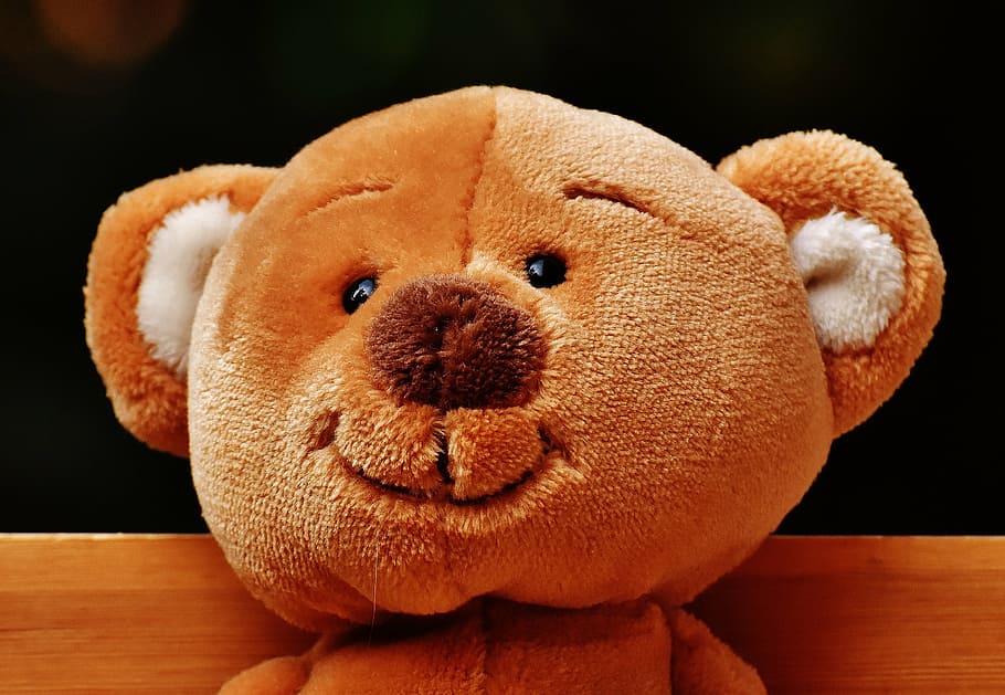 teddy, bank, sit, bear, fun, plush, funny, cute, wooden bench, HD wallpaper