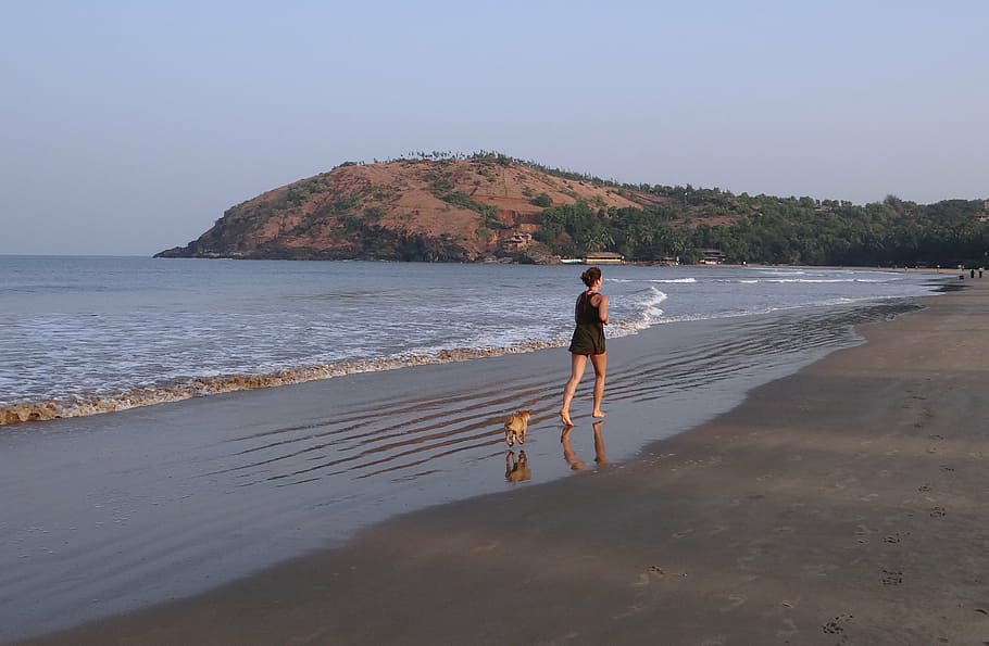 woman walking on shoreline with dog, puppy, beach, sand, playing HD wallpaper