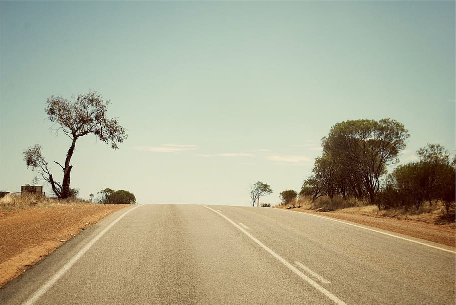gray road between trees, grey, top, daytime, rural, sky, the way forward HD wallpaper