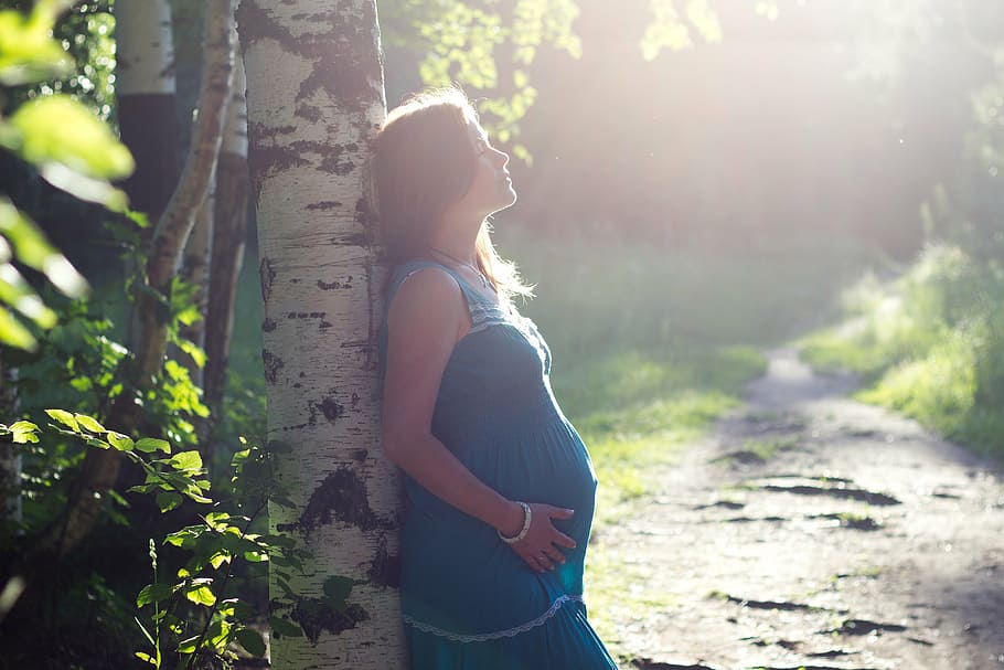 pregnant woman leaning on tree, birch, family, tummies, pregnancy