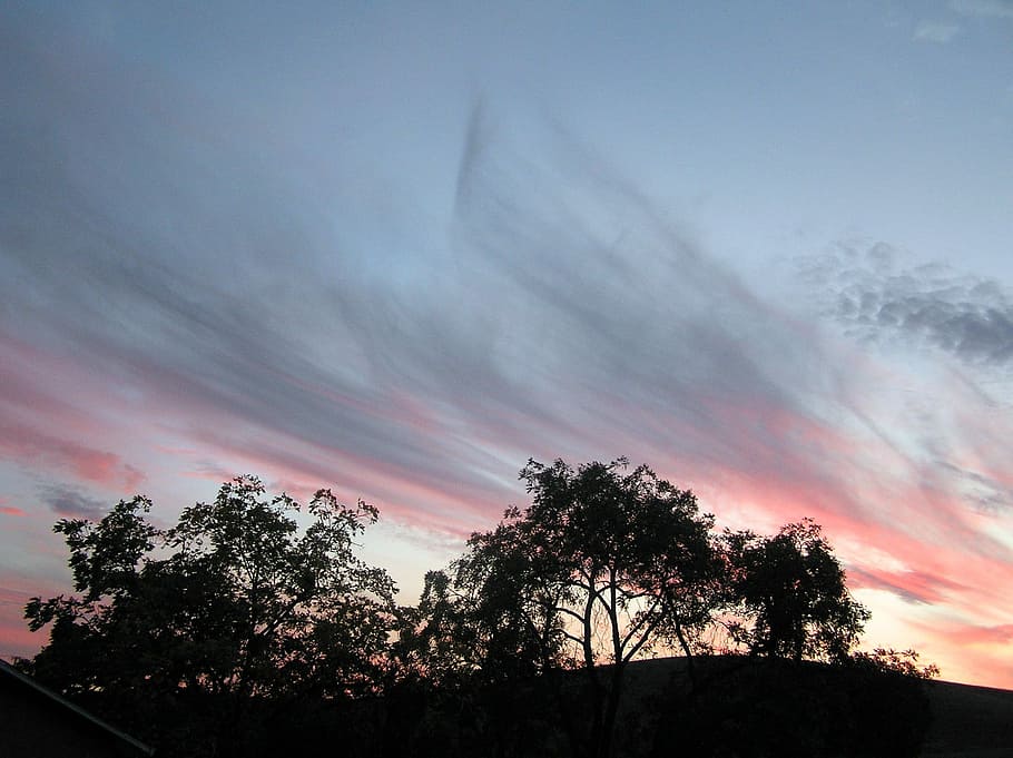 Sunset, Trees, Clouds, Silhouette, sky, evening, view, scenic HD wallpaper