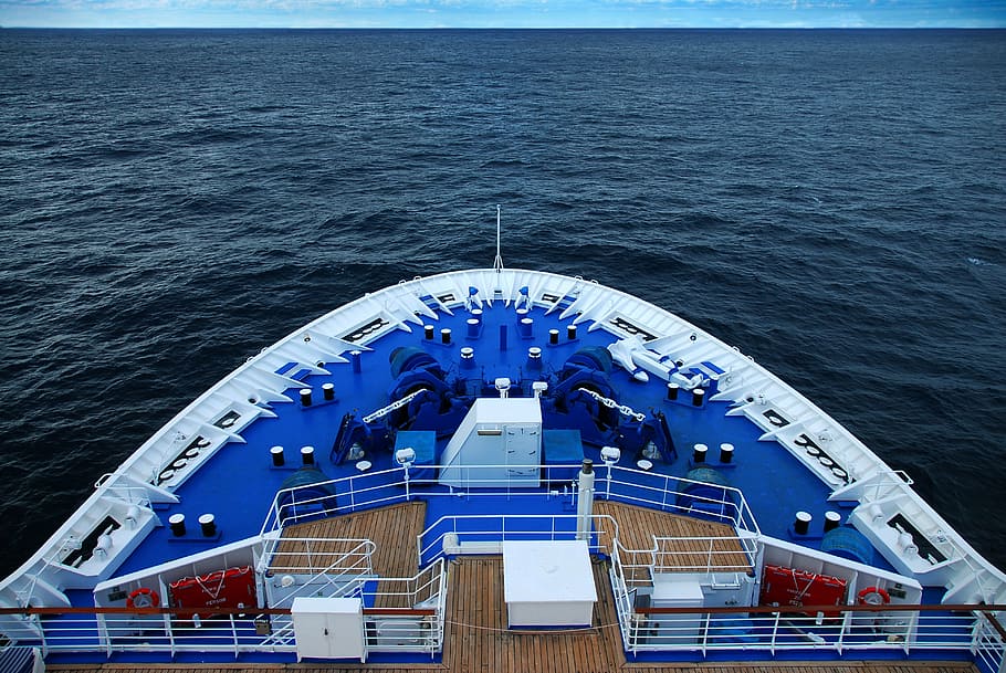 blue and white ship, voyage, cruise, bow, luxury, travel, sea
