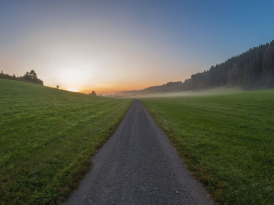 Sunrise, Fog, Path, Grass, Gravel, Sky, blue, green, tree, fisheye HD wallpaper