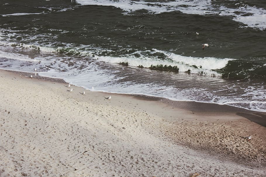 seashore in aerial photography, beach, sand, coast, ocean, water HD wallpaper