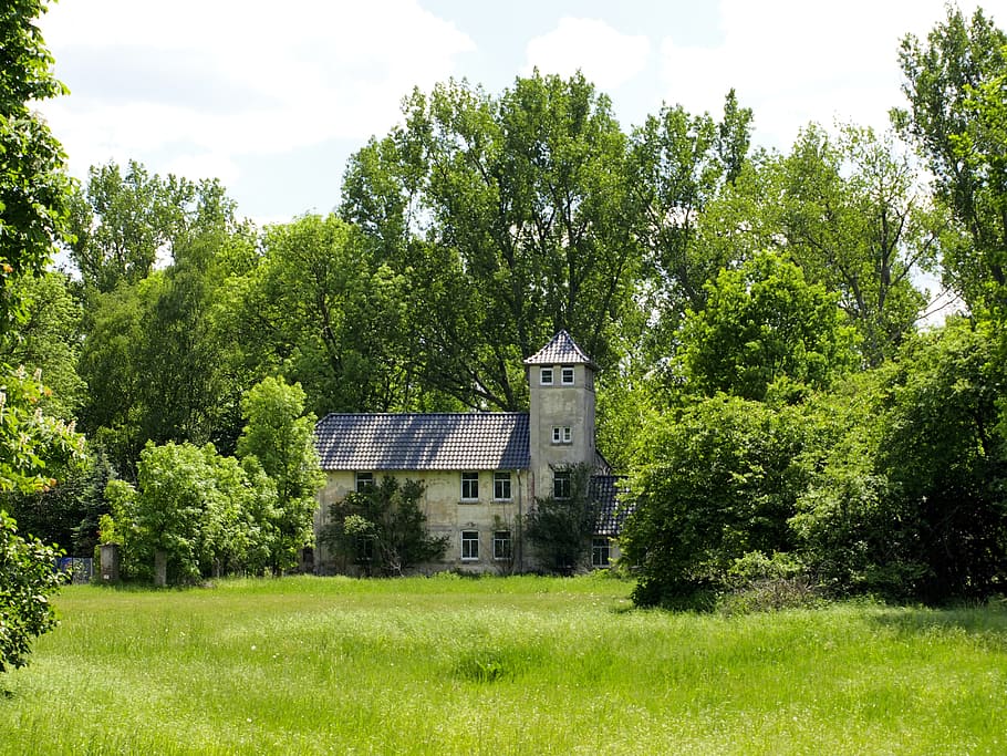 castle, small, forest, villa, tower, plant, tree, architecture HD wallpaper