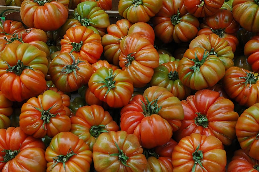 tomatoes, organic, fruit, food and drink, healthy eating, vegetable HD wallpaper