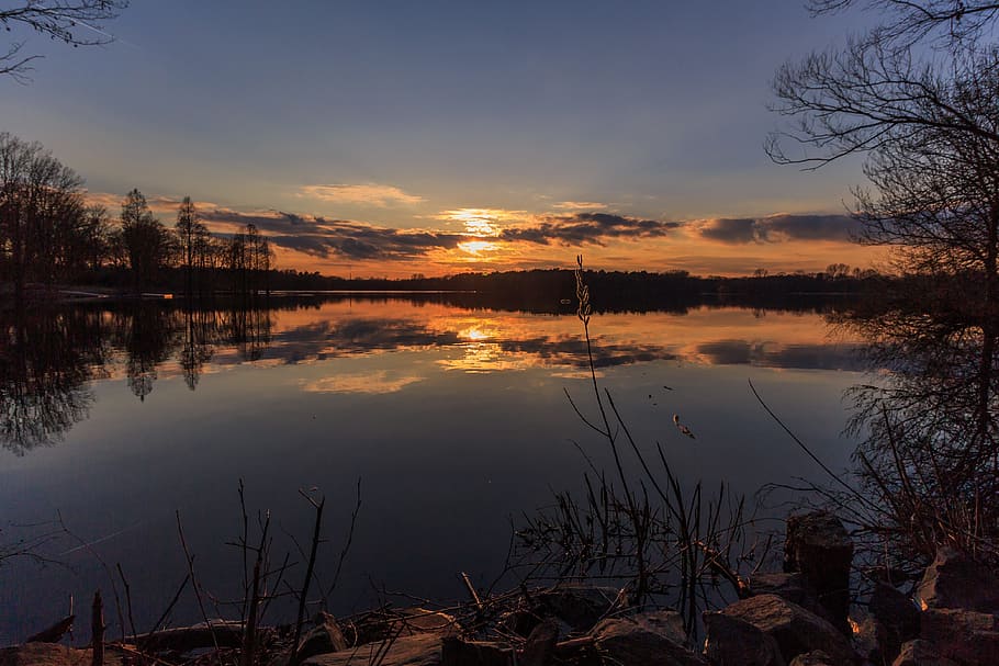 trees near body of water, sunset, waters, dawn, nature, dusk HD wallpaper