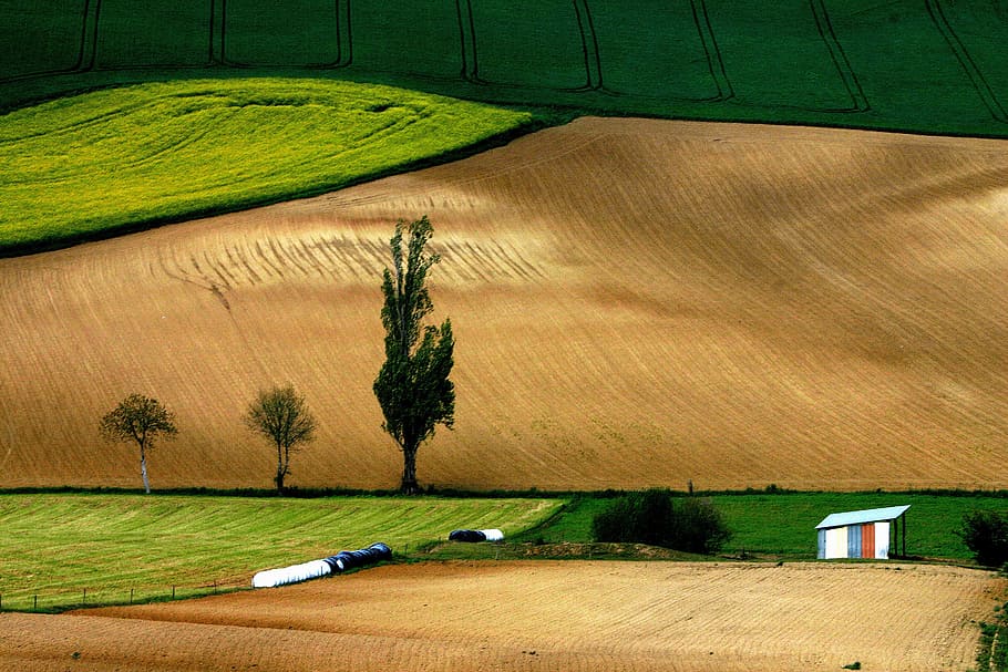 fields, prairie, nature, hills, agriculture, farm, landscape HD wallpaper