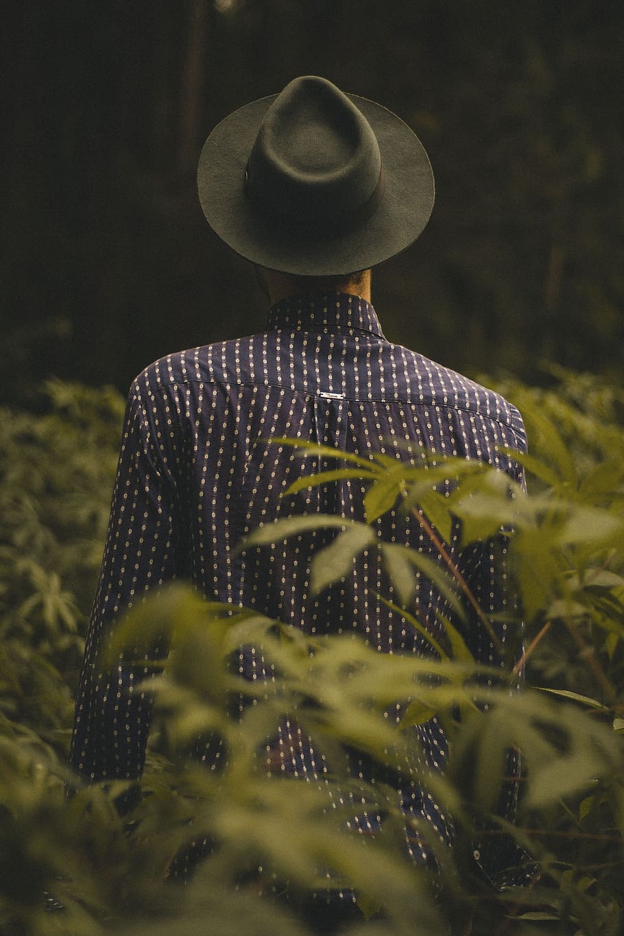 people, guy, man, nature, outdoor, fashion, hat, dark, blur HD wallpaper