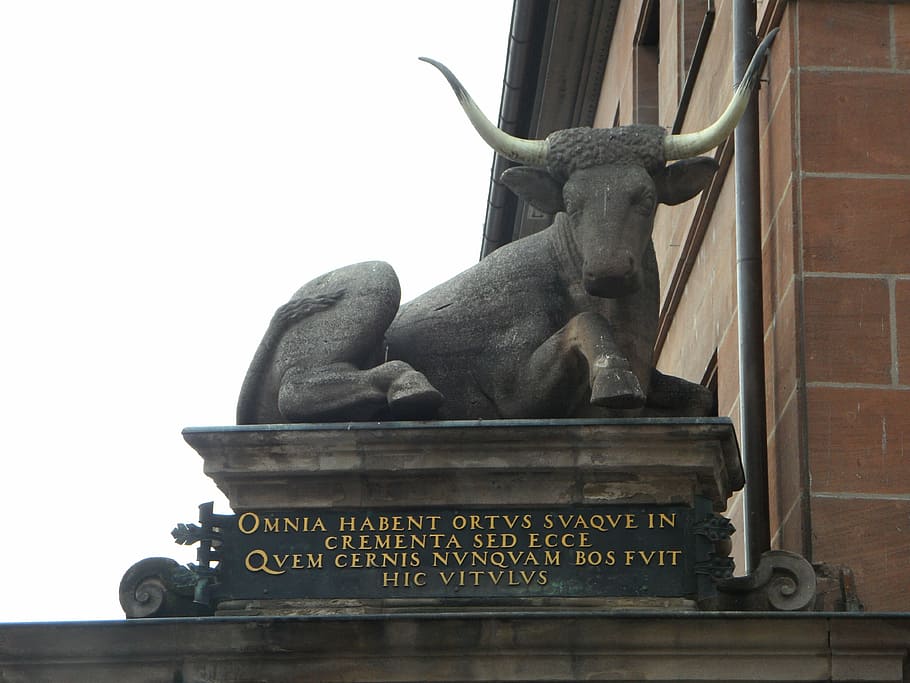 nuremberg, meat market, ox, monument, sculpture, statue, latin, HD wallpaper