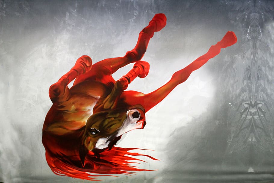 horse, graffitti, paint, wall, artwork, street art, painting HD wallpaper
