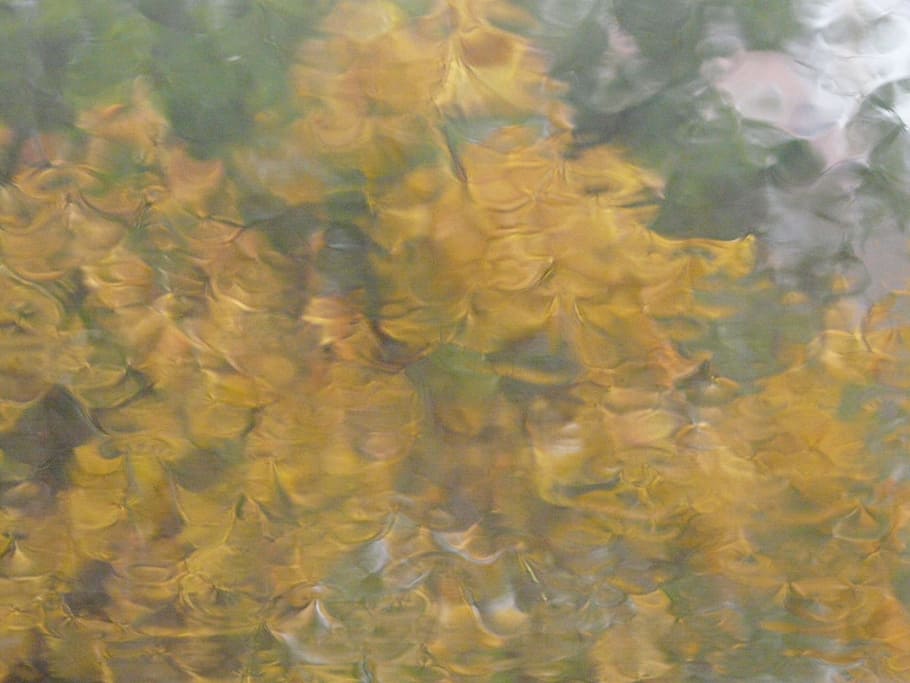blurry, rain, disc, window, glass, background, bad weather HD wallpaper