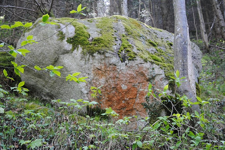 stone, forest, nature, moss, green, silent, rock, foundling HD wallpaper